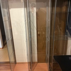 ショーケース.デトルフの画像