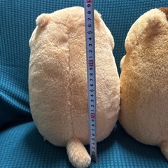 マーモットのもっとっと ボバくん　アー太郎の画像
