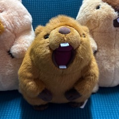 マーモットのもっとっと ボバくん　アー太郎の画像