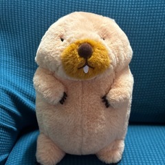 マーモットのもっとっと ボバくん　アー太郎の画像