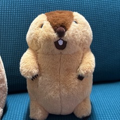 マーモットのもっとっと ボバくん　アー太郎の画像