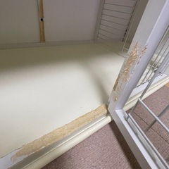 ケージの画像