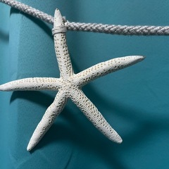 ヒトデのガーランド⭐️の画像