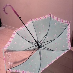 傘　55センチ　の画像