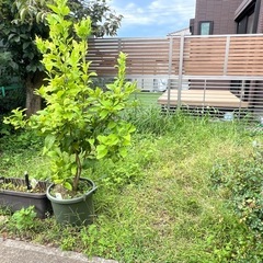 【市原市発】整地・草刈り・土砂運搬・軽作業お任せください！土日対応・見積無料 - 市原市