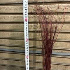 ★オシャレ★籐製・アジアンフロアランプ・間接照明・高さ約120cm ※置くだけでリゾート空間のような癒しが味わえます♪の画像