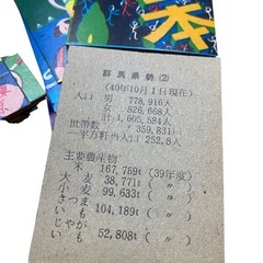 希少！完品！ レトロ 上毛かるた 群馬県 郷土かるた 文化財 ma136 当時物 昭和レトロの画像