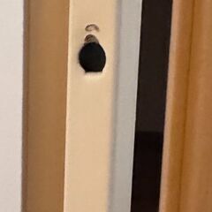 ラックの画像