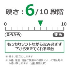 【受付終了】マニフレックス エルゴトッパー 睡眠の質を上げる高反発敷パッド シングルの画像