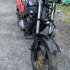 zzr250 ジャンク　2台の画像