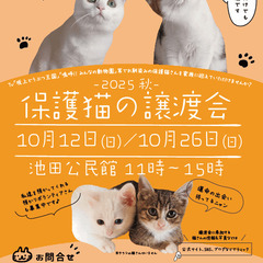 NECOAS 保護猫の譲渡会　静岡市駿河区　2025/10…
