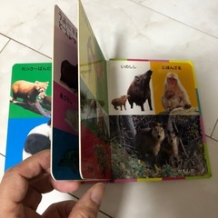 本の画像