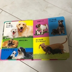 本の画像