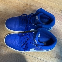 青色が綺麗！ナイキNIKEコートビジョン26cmの画像