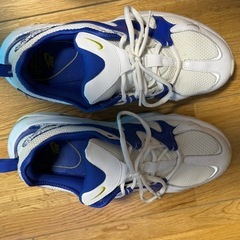 NIKE ナイキ エアマックス グラヴィトン 26.5cmの画像
