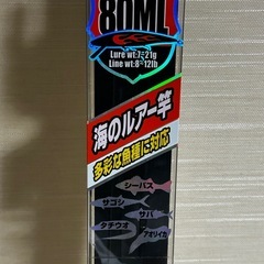 mazume フェルトスパイクシューズと海のルアー竿80MLセットの画像