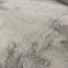 ふわふわなラグの画像