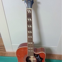 hummingbird performer pro/fcギター
の画像
