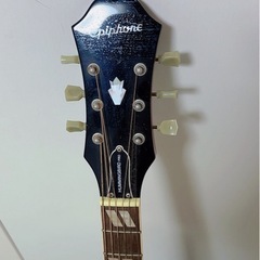 hummingbird performer pro/fcギター
の画像