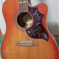 hummingbird performer pro/fcギター
の画像