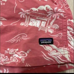 パタゴニア2Tショートパンツの画像