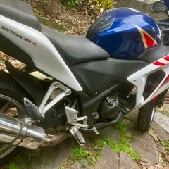 CBR250R MC41の画像