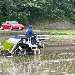 令和7年度　新米　豊川産コシヒカリ　玄米　30キロの画像