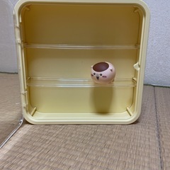 コレクションケースの画像