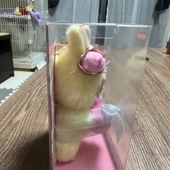 ラブブの画像