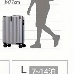 スーツケース　Lサイズ(93L) シルバーグレイの画像