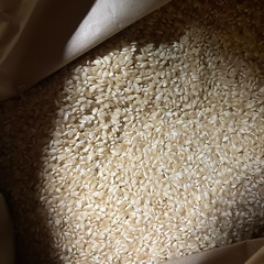 令和7年度　新米　豊川産コシヒカリ　玄米　30キロの画像