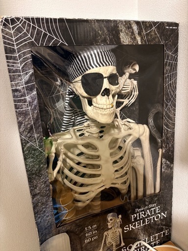 廃番品】スケルトン 海賊 ガイコツ 152cm 模型 お化け屋敷 ハロウィン 廃番品】スケルトン 海賊 ガイコツ 152cm 模型 お化け屋敷