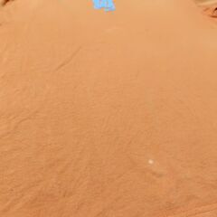 【まだ受付中･送付可能】中古 NIKE ナイキ Tシャツ カットソー Vネック フェルト ロゴ 綿100％ オレンジ L  早い者勝ちです✨✨の画像