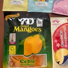 ドライフルーツ　マンゴー、本だし　その他の画像
