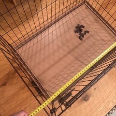 ペット　ケージ
の画像