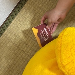 くまのプーさんぬいぐるみの画像