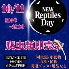 New Reptiles Day