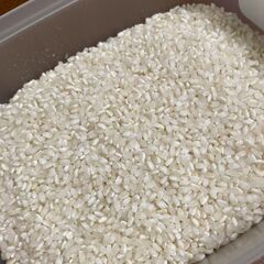 ⑧番の方専用　新米販売受付（新規受付はいたしておりません）の画像