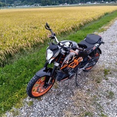 デューク250の画像