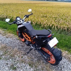 デューク250の画像