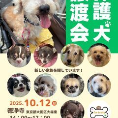 保護犬 譲渡会 10月12日 東京都