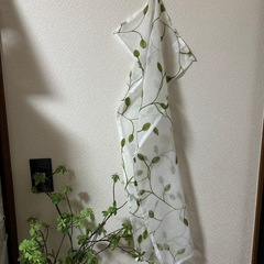 美品✨シースルーカフェカーテンの画像