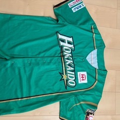 ファイターズユニホーム
の画像