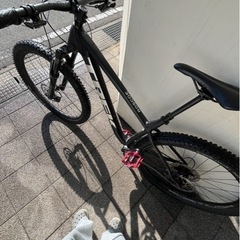 トレック　ロスコ 7 サイズM/L (ハブ変えてあります)の画像