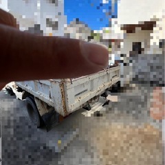 ダブルピックダンプの画像