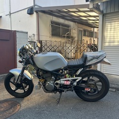 goose350の画像