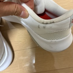 NIKEランニングシューズの画像