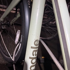 cannondale treadwell eqの画像