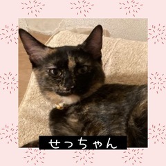 ほんまにかわいい❤️せっちゃん5ヶ月