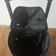 SWANY キャリーバッグの画像